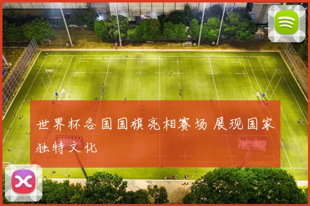 世界杯各国国旗亮相赛场 展现国家独特文化