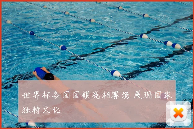 世界杯各国国旗亮相赛场 展现国家独特文化
