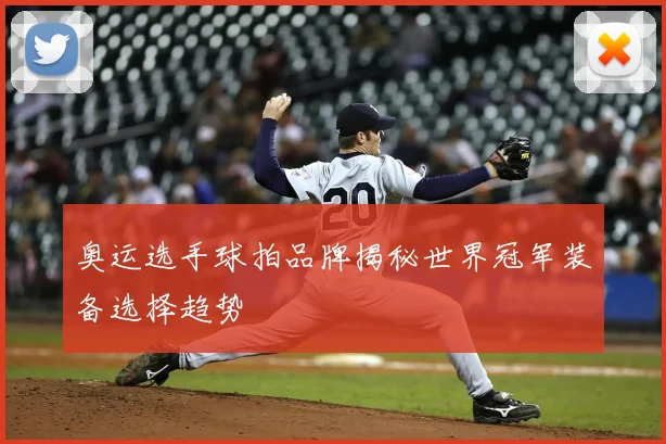 奥运选手球拍品牌揭秘世界冠军装备选择趋势